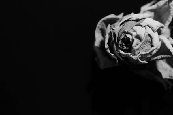 実録 不倫カップルの顛末 不倫よりも誠実な恋を選んだ看護師 残酷な結末とは 21年7月18日 エキサイトニュース