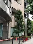 NEWS小山「嫌な言葉ですね」 若者層で流行の“親ガチャ”に不快感、「親はショック」と苦言
