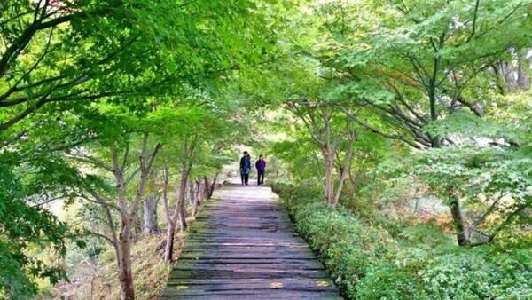 実録 不倫カップルの顛末 肉欲に溺れ 老いらくの恋の結末 21年9月26日 エキサイトニュース