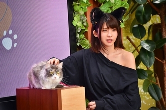 えなこ、さらば森田が猫耳姿に！ グラドル・和地つかさ、人気レイヤー・篠崎こころなどのコスプレ動画も、“猫特化型バラエティ”スタート