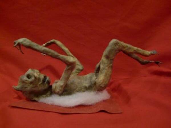 鬼のミイラ ついに発見 その正体は如何に 15年3月31日 エキサイトニュース