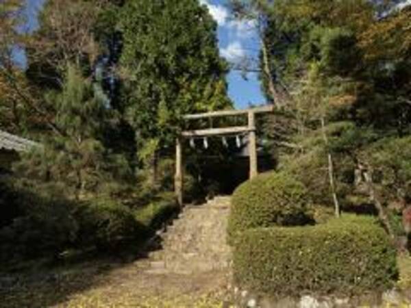 怪談作家 呪淋陀のミステリー紀行 幻の人魚のミイラを追え その 1 人魚伝説の謎 10年11月17日 エキサイトニュース