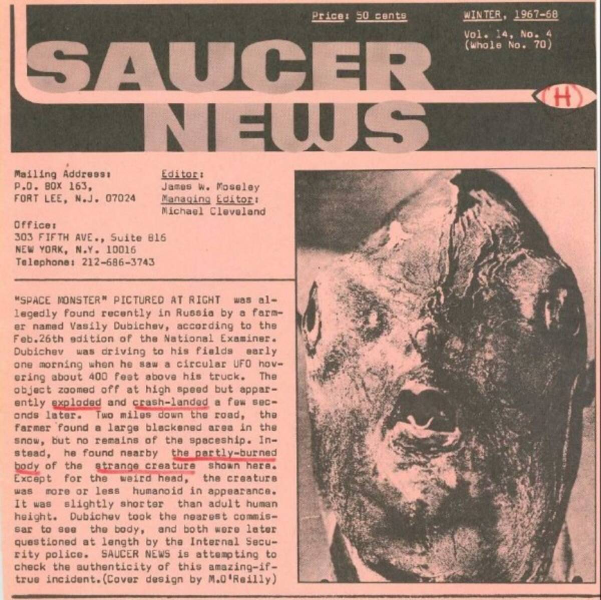 閲覧注意 あまりにも恐ろしい宇宙人の焼死体 正体は意外な生物か 16年1月23日 エキサイトニュース