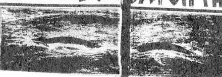 最古のシーサーペントを捉えた写真を発見 1908年のシーサーペント写真報道 16年3月26日 エキサイトニュース