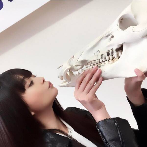 観月ありさがイノシシの頭蓋骨を見つめる横顔が美しすぎると反響 17年4月6日 エキサイトニュース