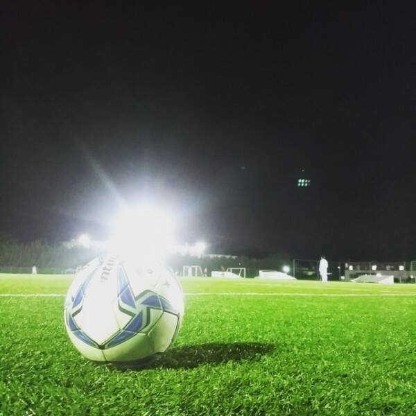 返上するには100 結果を出すしかない 西野朗サッカー日本代表監督に不名誉なあだ名 18年6月13日 エキサイトニュース