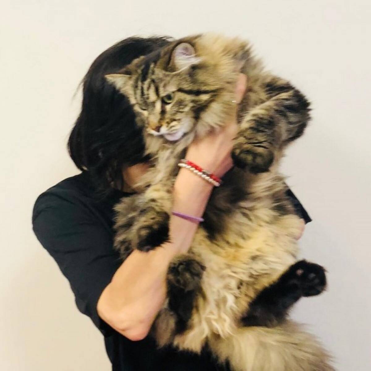 鬼束ちひろ 夫のdv告発後インスタ投稿全削除で波紋 結局何が本当なのか 18年9月12日 エキサイトニュース 鬼束ちひろ 夫のdv告発後インスタ投稿全削除で波紋 結局何が本当なのか 18年9月12日 エキサイトニュース