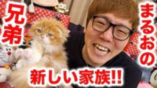 ヒカキン 炎上乗り越え2匹目の猫の飼育開始 ネットから称賛の声が殺到したワケ 18年9月13日 エキサイトニュース