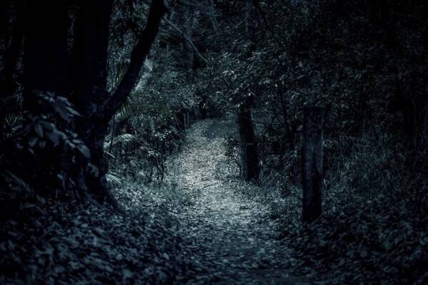 バイト退職日に殺害された16歳女子高生 野犬を利用して証拠隠滅をはかった犯人とは 未解決事件ファイル 19年8月31日 エキサイトニュース