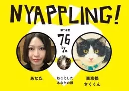 猫の飼い主 深淵をのぞく時 深淵もまたこちらをのぞいているのだ この名言がわが家で起きた 19年10月10日 エキサイトニュース