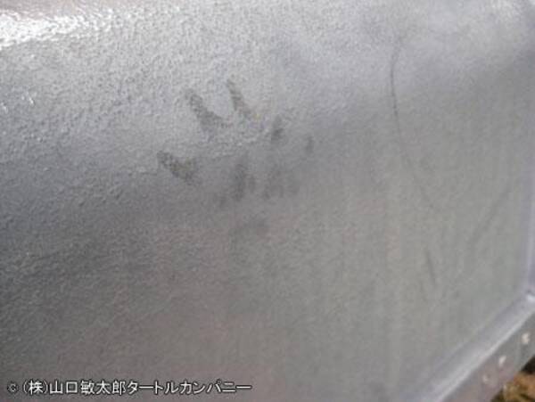 市川の民家の河童襲撃事件を考えてみる 2011年9月26日 エキサイトニュース