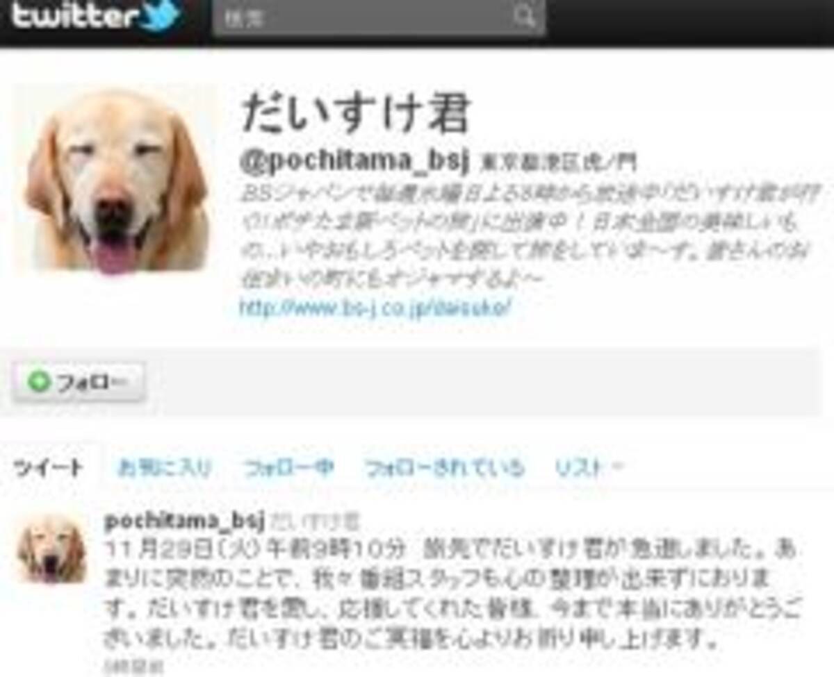 旅犬 だいすけ君が旅の途中で急死 11年12月1日 エキサイトニュース