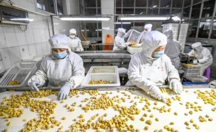 中国各地の企業、年末に向けて急ピッチで生産