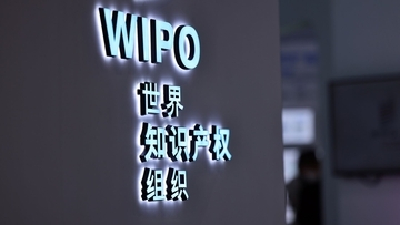 世界のイノベーションクラスター上位100、中国がランクイン数で首位を維持