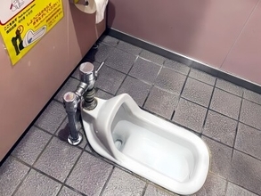 しゃがみ式トイレの大問題、水洗レバーは手で押す？足で踏む？―台湾メディア