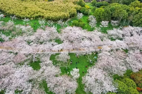 「「幸せ」がたくさん詰まっている都市・江蘇省無錫市とは？―中国メディア」の画像