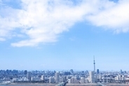 日本を旅行した女性が感じたこと＝中国ネット「最高に心地いい」「一番驚いたのは…」