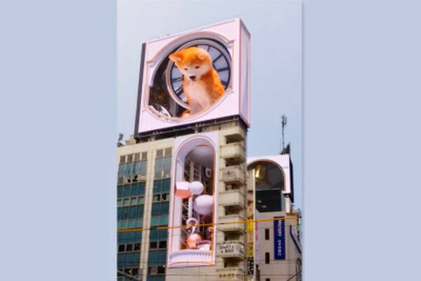 東京で巨大な犬がビルを飛び交う 3d秋田犬が中国でも話題 かわいすぎ 怪獣かと 22年8月2日 エキサイトニュース