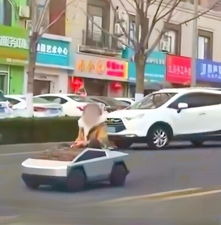 おもちゃのテスラ車を公道で運転する成人女性が目撃される―山東省青島市