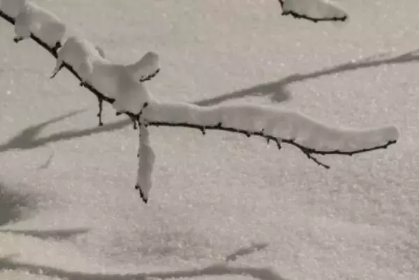 北海道の居酒屋でぼったくりに遭ったと中国人女性＝厨房から「ドンッ」、出てきた店主は鬼の形相