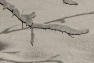 北海道の居酒屋でぼったくりに遭ったと中国人女性＝厨房から「ドンッ」、出てきた店主は鬼の形相