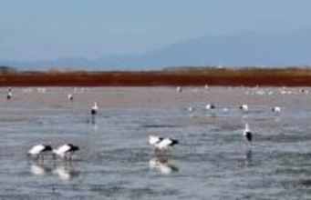 「世界湿地の日」、中国の湿地面積はアジア第1位