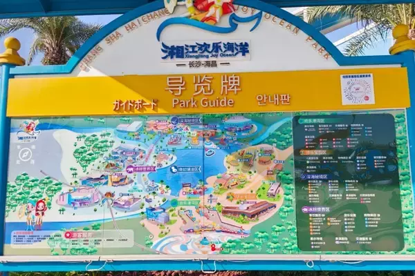 「レジャー施設のダイビング体験でサメにかまれた男性、和解成立を報告―中国」の画像