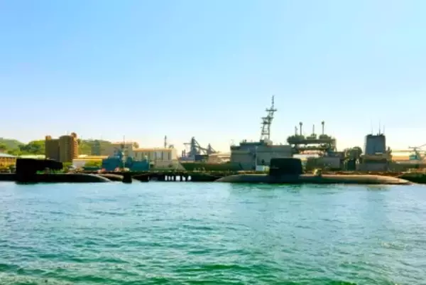 日本が再び武装すれば、米国を攻撃しないと保証できない―中国専門家