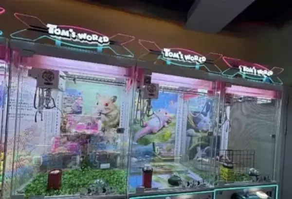 ウサギやウーパールーパー、生きている小動物が入ったクレーンゲーム機が物議―中国