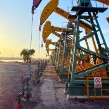 石油が産出される中国が、世界最大の石油輸入国でもある理由―香港シンクタンク