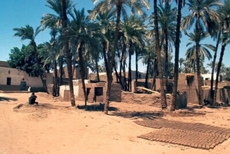 中国・エジプト合同チーム、メンフィスのアジズ・デーリ遺跡で新発見