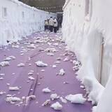「雪の名所が綿で雪を偽装、大ブーイング発生して「とりあえず閉鎖」―中国メディア」の画像1