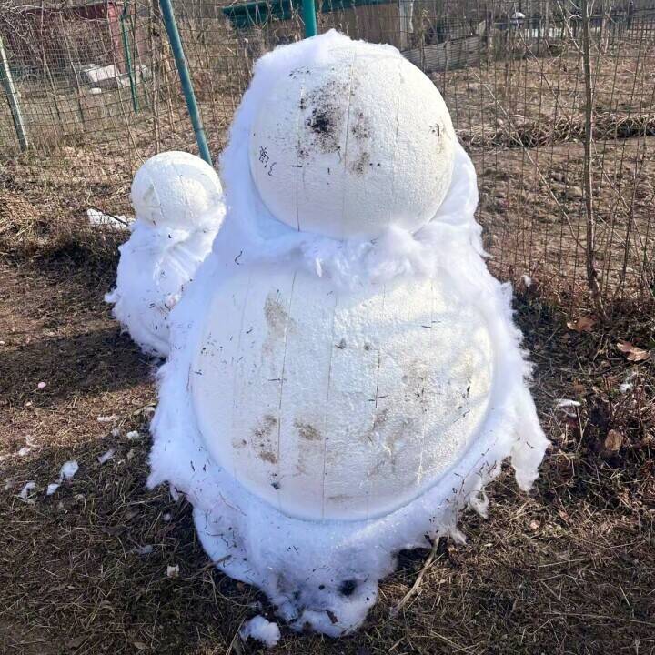 雪の名所が綿で雪を偽装、大ブーイング発生して「とりあえず閉鎖」―中国メディア