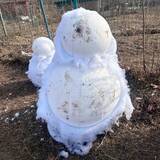 「雪の名所が綿で雪を偽装、大ブーイング発生して「とりあえず閉鎖」―中国メディア」の画像2