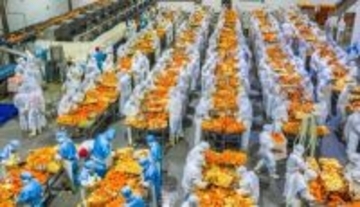 ネーブルオレンジを丸ごと利用した加工が農村振興を後押し―湖北省