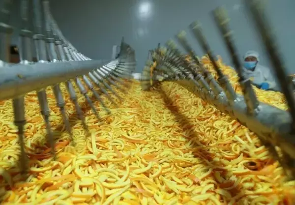 「ネーブルオレンジを丸ごと利用した加工が農村振興を後押し―湖北省」の画像