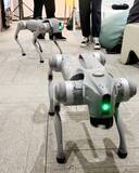 「インドの大学、中国製ロボット犬を自校開発製品と偽装か―香港メディア」の画像1