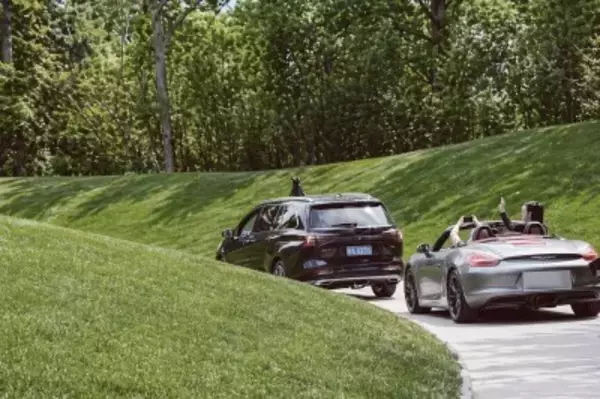 サファリパークで客がオープンカーの屋根を開けてトラを見る―中国