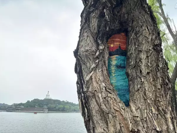 「北京の公園で樹洞をのぞくとレッサーパンダに会えるかも！？―中国」の画像