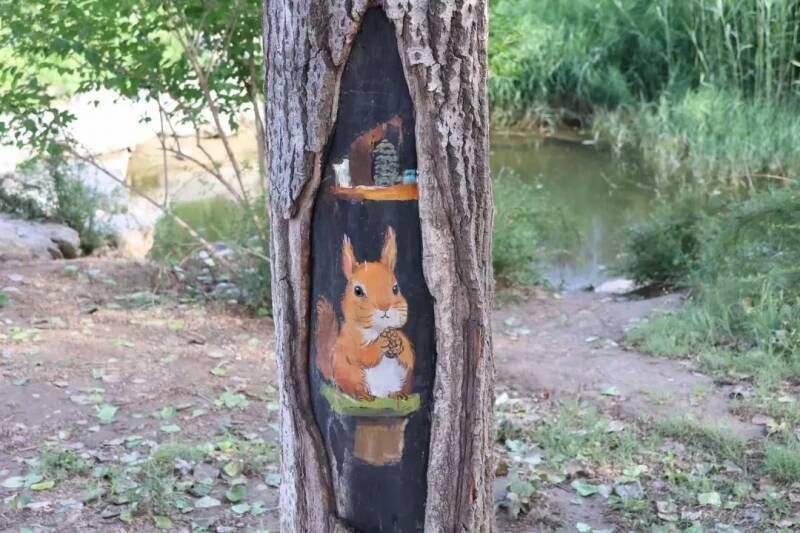 北京の公園で樹洞をのぞくとレッサーパンダに会えるかも！？―中国