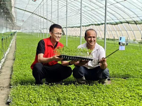 「中国ではデジタル消費の利用者数が9．58億人を突破」の画像