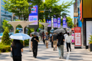 韓国気象庁が天気予報を外しまくり、主要紙「予報官らの資質問題」と酷評