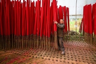 特大サイズも、四川の「線香作りの村」―中国