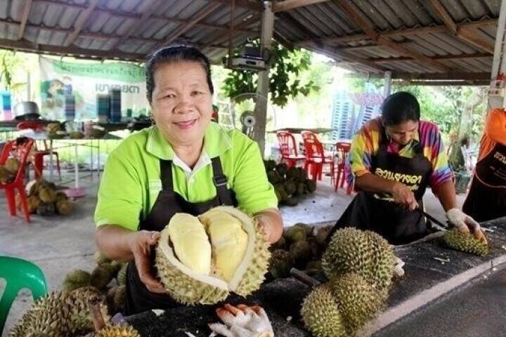 タイのドリアンが中国向け輸出のピークに、5月には500グラム650円まで下がる？