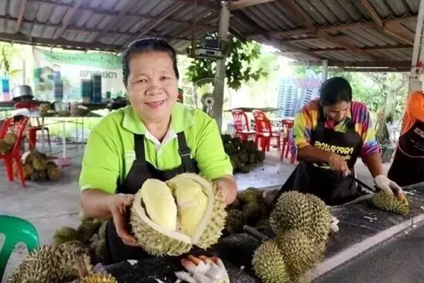 「タイのドリアンが中国向け輸出のピークに、5月には500グラム650円まで下がる？」の画像