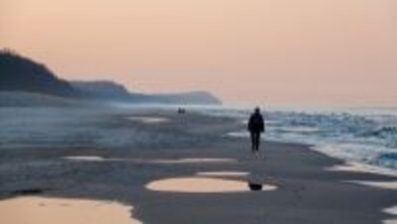 韓国人の36％が独り暮らし、最も多いのは男性30代＝韓国ネット「独りが天国」