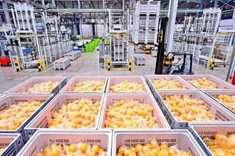 江西省のスマート工場、オレンジ産業の高品質発展を後押し―中国