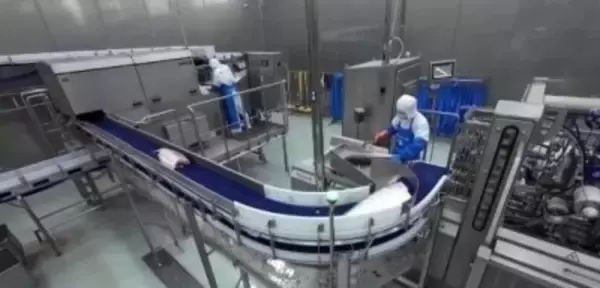 サーモンの物流に特化した「空中高速道路」を構築―中国