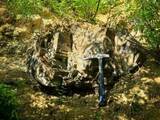 「山西省で約2億9500万年前の木化石を発見―中国」の画像1