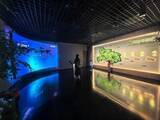 「中国初の「情緒」をテーマにした図書館が一般公開―湖北省武漢市」の画像1